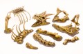 Dragon Bones big set (2 of 6).jpg