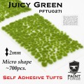 PFTU0271 Juicy Green Micro.jpg
