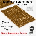 PFTU0274 Rusty Ground Micro.jpg
