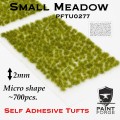 PFTU0277 Small Meadow Micro.jpg