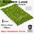 PFTU0279 Summer Lane Micro.jpg