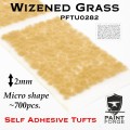 PFTU0282 Wizened Grass Micro.jpg