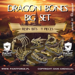 Dragon Bones Big Set