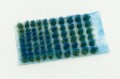 0592c72ed7998c513e2e18eaeaeb2843