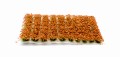PFFL2630_1.jpg