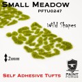 PFTU0247 WILD Small Meadow.jpg