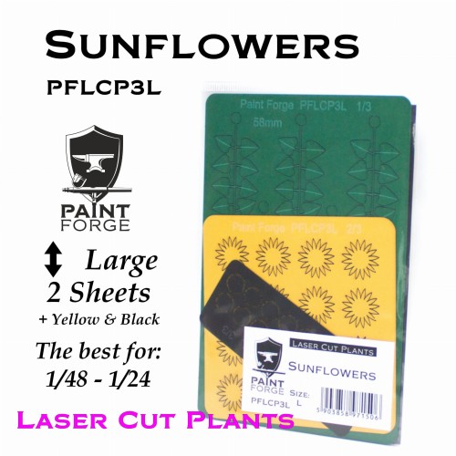PFLCP3L Sunflowers.jpg