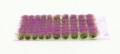 PFFL2610_1.jpg