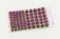PFFL2610_2.jpg