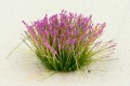 PFFL2610_3.jpg